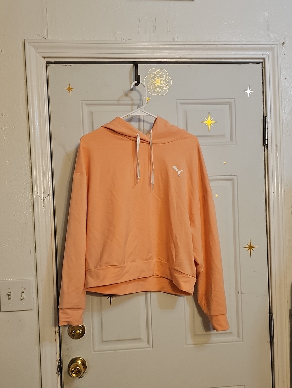 Puma Peach- Orange Hoodie